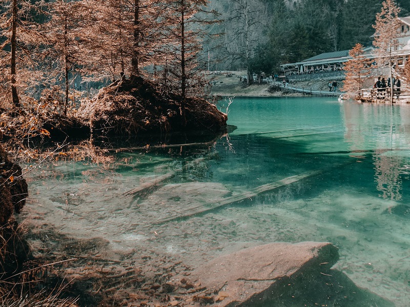 1749635928567138.jpg 207.jpg